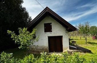 Eladó Lesencefalui egyéb mezőgazdasági ingatlan hirdetés (75434426)