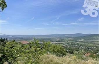 Eladó Szentendrei üdülőövezeti telek hirdetés (68532176)