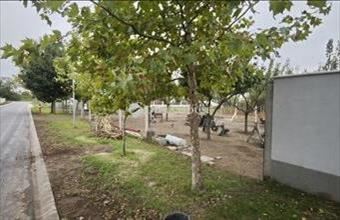 Eladó Sződligeti lakóövezeti telek hirdetés (62474438)