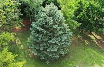 Eladó Debreceni tégla lakás hirdetés (93381323)