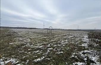 Eladó Szadai külterületi telek hirdetés (39324633)