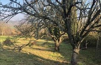 Eladó Hévízi lakóövezeti telek hirdetés (45477737)