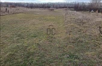 Eladó Budapest XVII. kerületi egyéb mezőgazdasági ingatlan hirdetés (95796375)