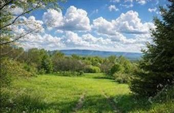 Eladó Bodajki külterületi telek hirdetés (51862886)