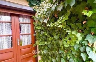 Eladó Orosházai családi ház hirdetés (24588993)