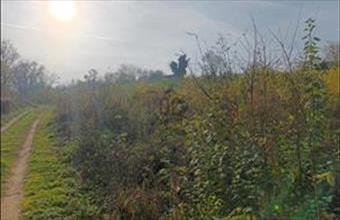 Eladó Zalabéri külterületi telek hirdetés (34844252)