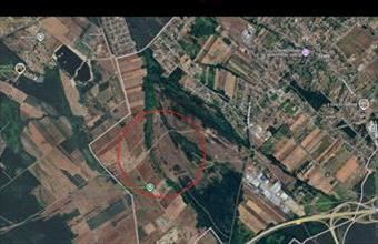 Eladó Szadai egyéb mezőgazdasági ingatlan hirdetés (75537155)