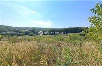 Eladó Galgahévízi lakóövezeti telek hirdetés (55228543)