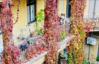 Eladó Budapest IX. kerületi tégla lakás hirdetés (99447433)