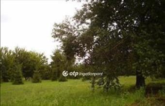 Eladó Őrbottyáni fejlesztési lakóterület hirdetés (62344856)