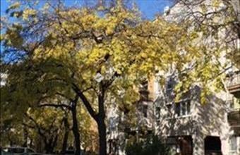 Eladó Budapest XIX. kerületi panel lakás hirdetés (28392392)