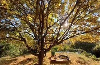 Eladó Pomázi családi ház hirdetés (83739737)