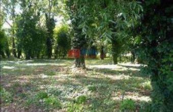 Eladó Kerepesi egyéb telek hirdetés (24328424)