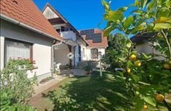 Eladó Bólyi családi ház hirdetés (89446343)