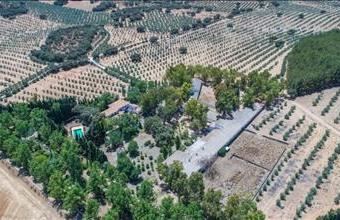 Eladó Spanyolországi tanya hirdetés (32422994)