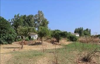 Eladó Spanyolországi lakóövezeti telek hirdetés (24792933)