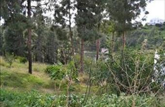 Eladó Spanyolországi lakóövezeti telek hirdetés (43591354)