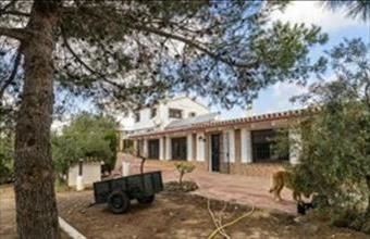 Eladó Spanyolországi tanya hirdetés (45275544)