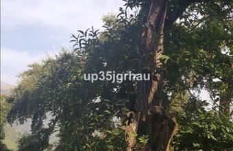 Eladó Spanyolországi lakóövezeti telek hirdetés (47231537)