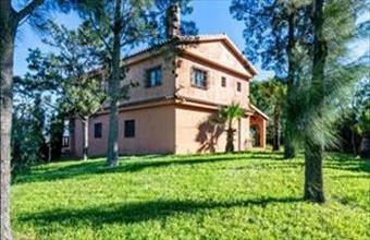 Eladó Spanyolországi tanya hirdetés (55577996)