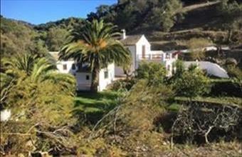 Eladó Spanyolországi tanya hirdetés (32334677)