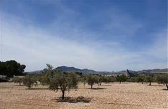 Eladó Spanyolországi lakóövezeti telek hirdetés (34753927)