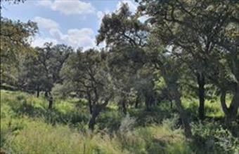 Eladó Spanyolországi lakóövezeti telek hirdetés (74479333)