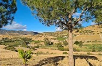 Eladó Spanyolországi tanya hirdetés (38343934)