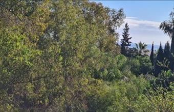 Eladó Spanyolországi lakóövezeti telek hirdetés (43913192)