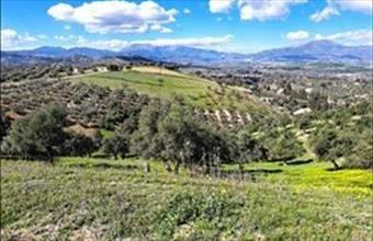 Eladó Spanyolországi lakóövezeti telek hirdetés (39466785)