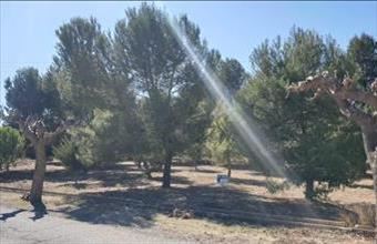 Eladó Spanyolországi lakóövezeti telek hirdetés (36355999)