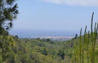 Eladó Spanyolországi lakóövezeti telek hirdetés (38934544)