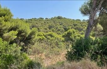 Eladó Spanyolországi lakóövezeti telek hirdetés (49734452)