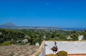 Eladó Spanyolországi üdülő hirdetés (77283414)