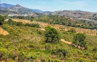 Eladó Spanyolországi lakóövezeti telek hirdetés (14496523)