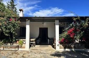 Eladó Spanyolországi tanya hirdetés (47969943)