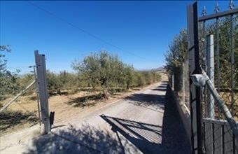 Eladó Spanyolországi lakóövezeti telek hirdetés (97275487)