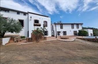 Eladó Spanyolországi tanya hirdetés (29738239)