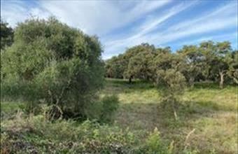 Eladó Spanyolországi lakóövezeti telek hirdetés (54824313)