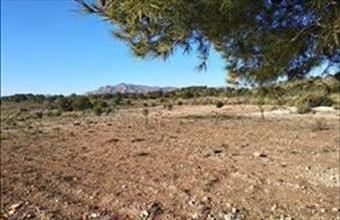 Eladó Spanyolországi lakóövezeti telek hirdetés (47425434)