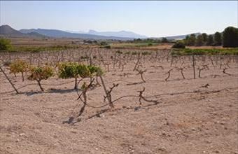 Eladó Spanyolországi lakóövezeti telek hirdetés (34339217)