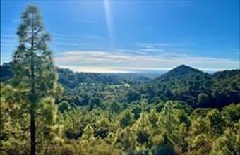 Eladó Spanyolországi lakóövezeti telek hirdetés (67256933)