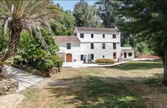 Eladó Spanyolországi tanya hirdetés (33834328)