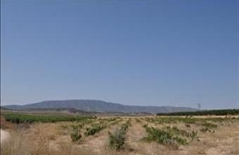 Eladó Spanyolországi lakóövezeti telek hirdetés (14834345)