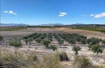 Eladó Spanyolországi lakóövezeti telek hirdetés (99443939)