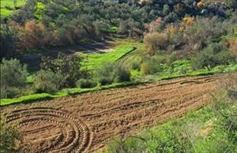 Eladó Spanyolországi lakóövezeti telek hirdetés (95532333)