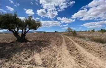 Eladó Spanyolországi lakóövezeti telek hirdetés (29453753)