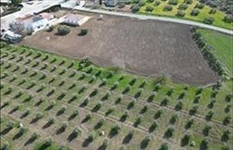 Eladó Spanyolországi lakóövezeti telek hirdetés (41675969)