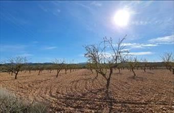Eladó Spanyolországi lakóövezeti telek hirdetés (35339648)