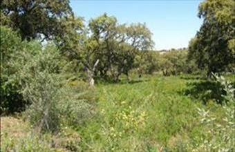 Eladó Spanyolországi lakóövezeti telek hirdetés (83827695)